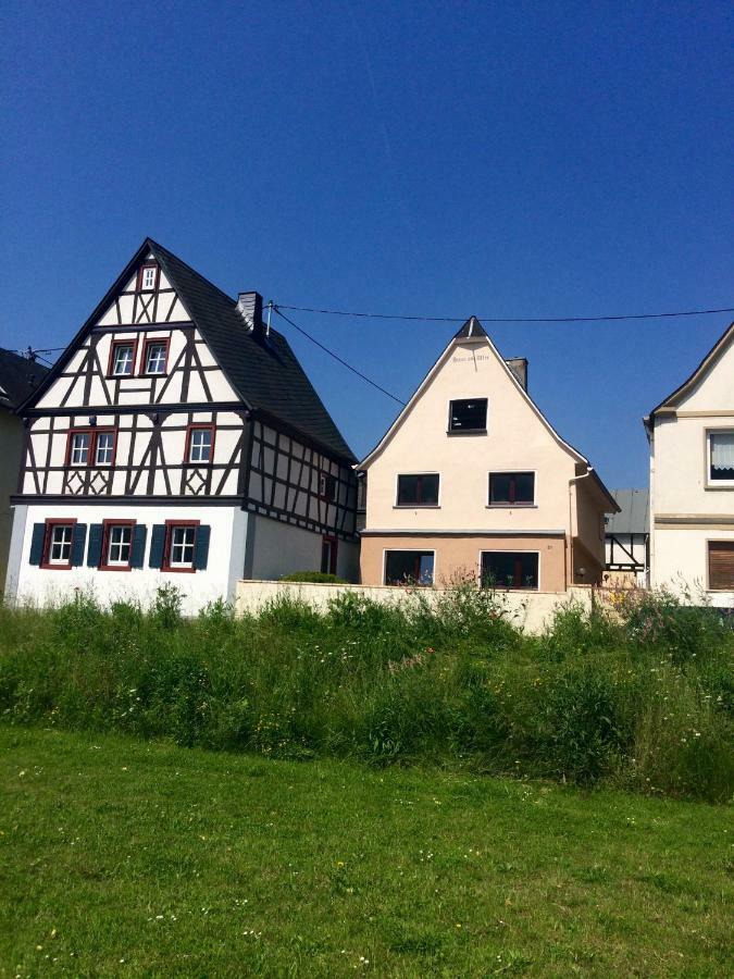 Apartmán Haus Am Ufer Mit Rheinpanoramablick Koblenc Exteriér fotografie
